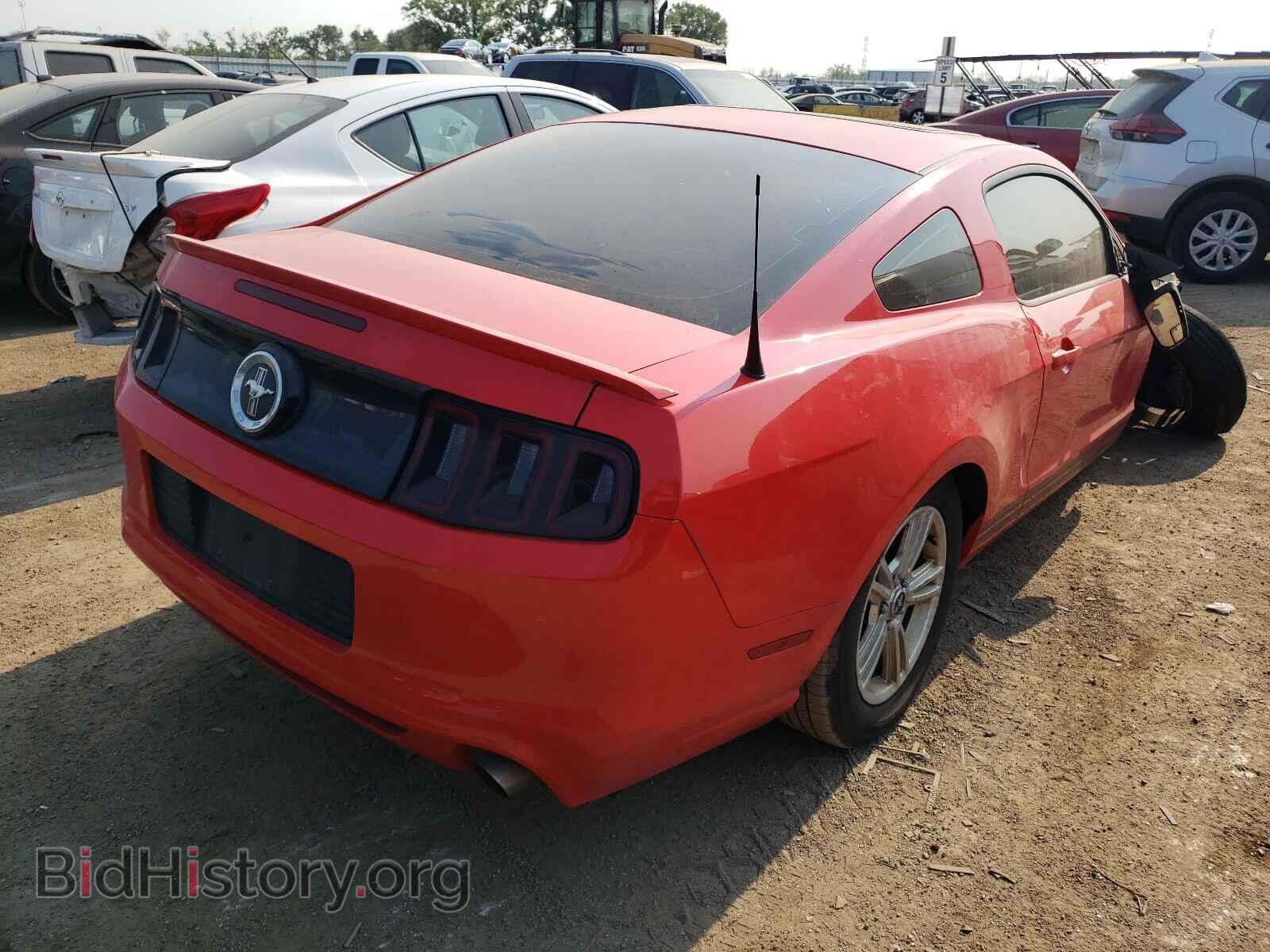 2013 FORD MUSTANG - VIN: 1ZVBP8AM5D5258699 - Фото 4