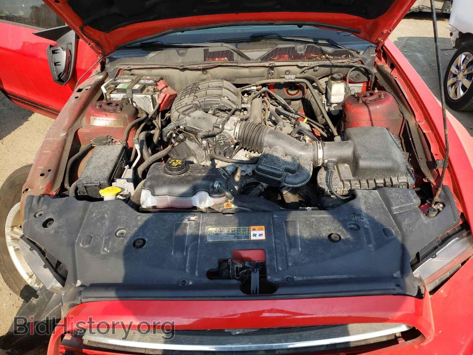 2013 FORD MUSTANG - VIN: 1ZVBP8AM5D5258699 - Фото 7