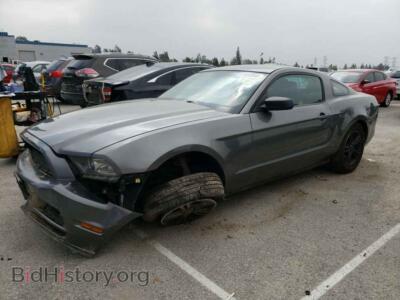2013 Ford ALL MODELS, серый — VIN 1ZVBP8AM8D5269664, Copart