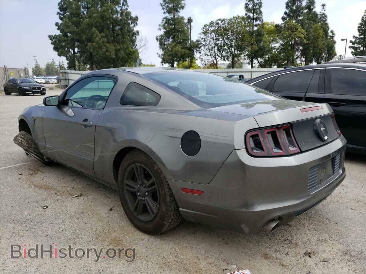 2013 FORD ALL Models - VIN: 1ZVBP8AM8D5269664 - Photo 2