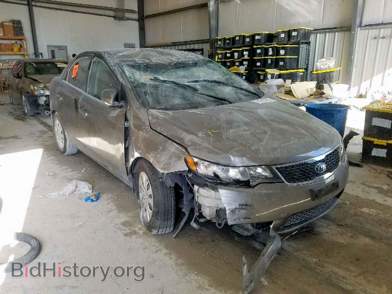 Photo KNAFU4A26D5672298 - KIA FORTE EX 2013