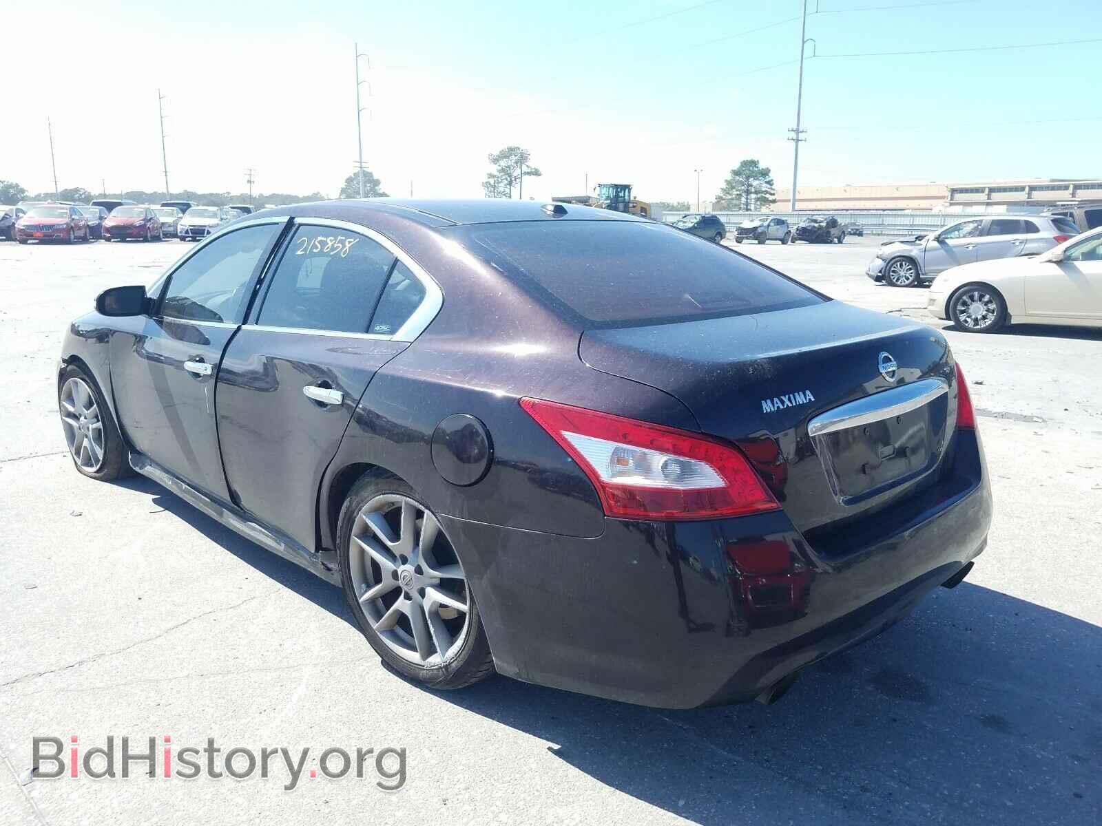 2010 NISSAN MAXIMA - VIN: 1N4AA5AP1AC867441 - Фото 3