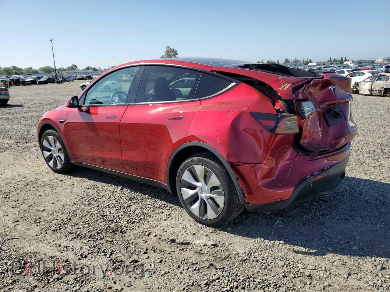 2024 TESLA MODEL Y - VIN: 7SAYGDEE1RF003145 - Фото 2