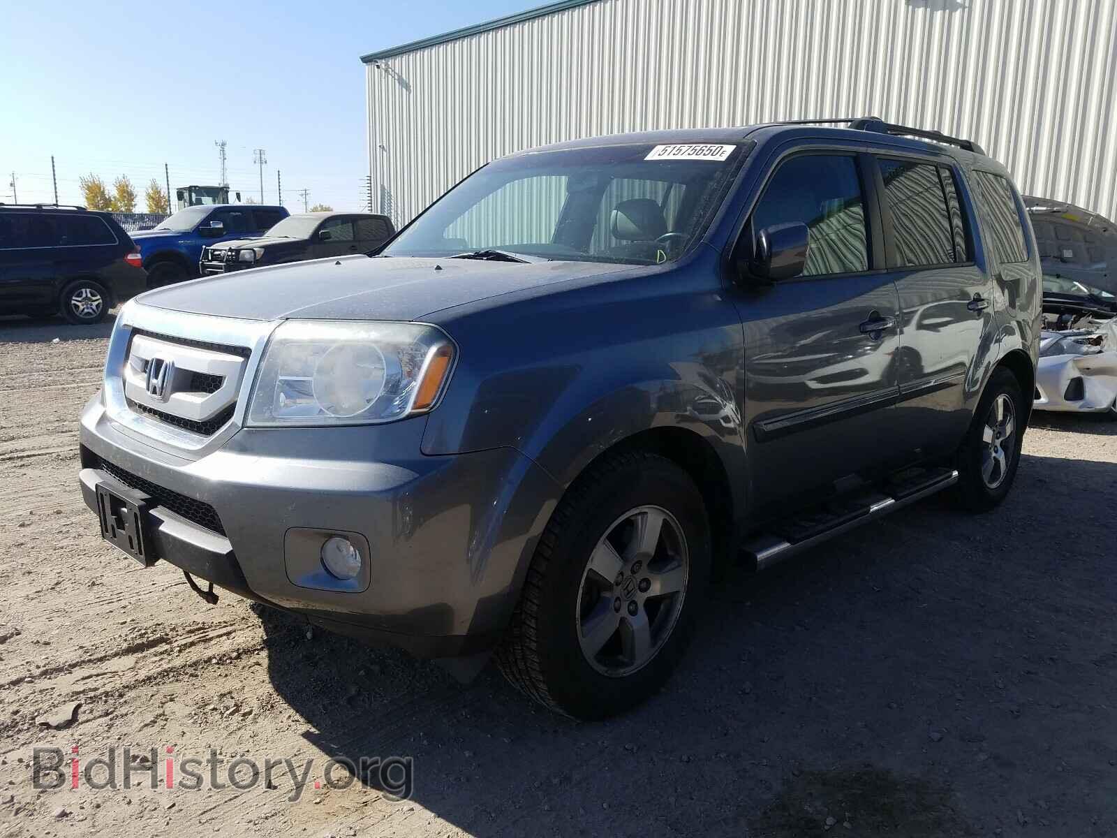 2009 HONDA PILOT - VIN: 5FNYF48509B504099 - Фото 2
