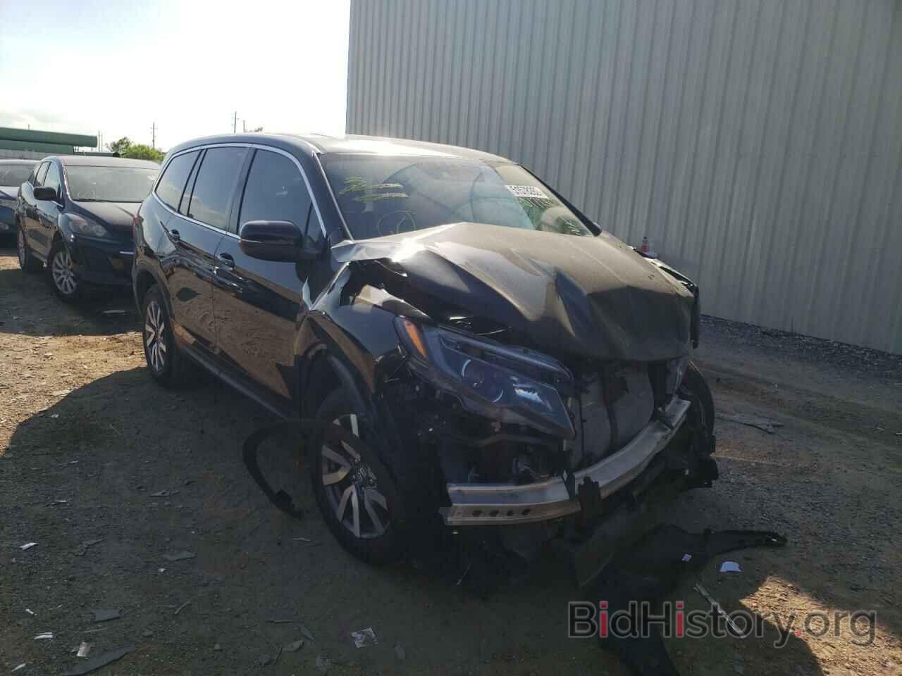 Photo 5FNYF5H58MB017280 - HONDA PILOT 2021