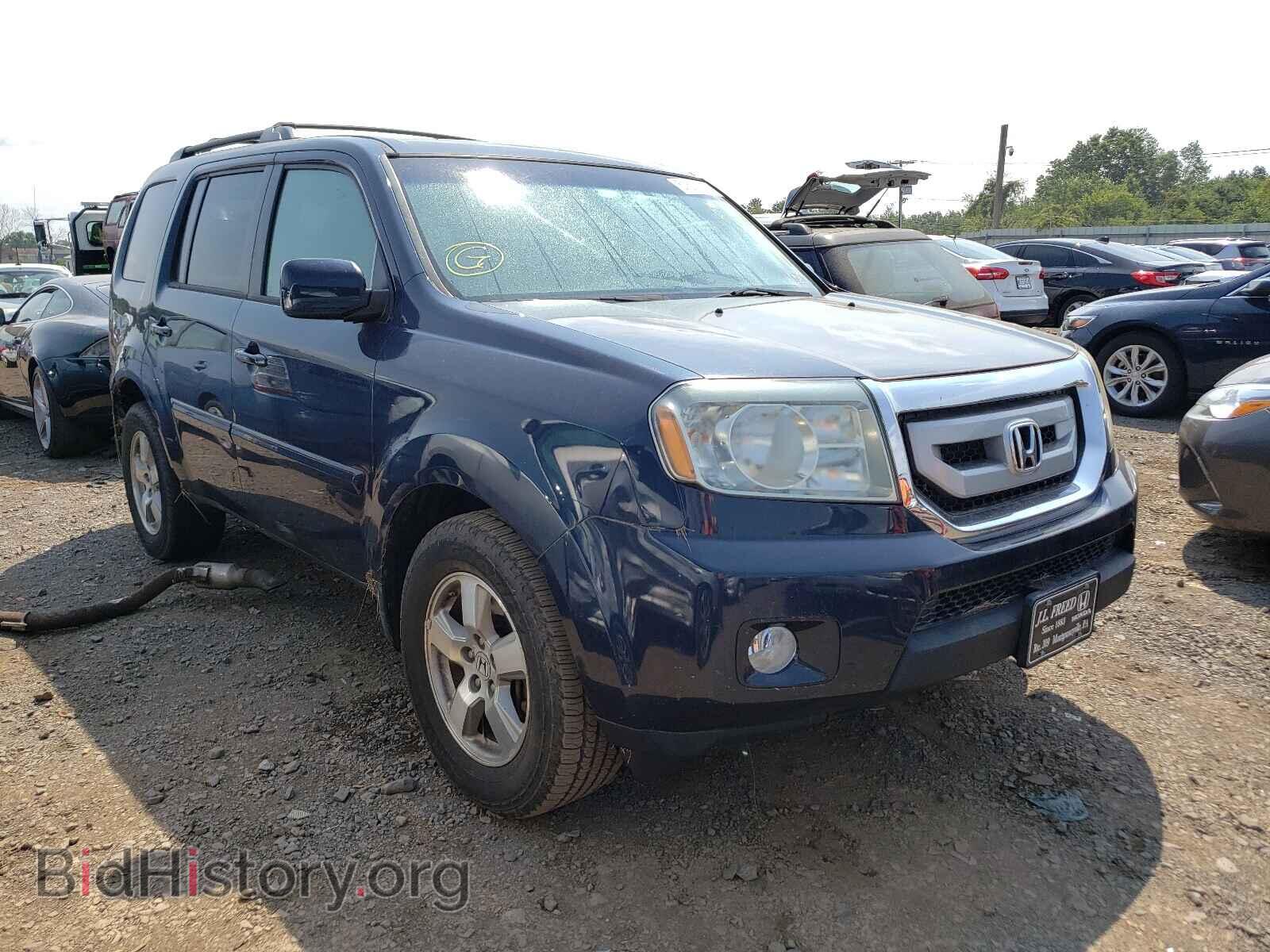 Фотография 5FNYF4H44BB057371 - HONDA PILOT 2011