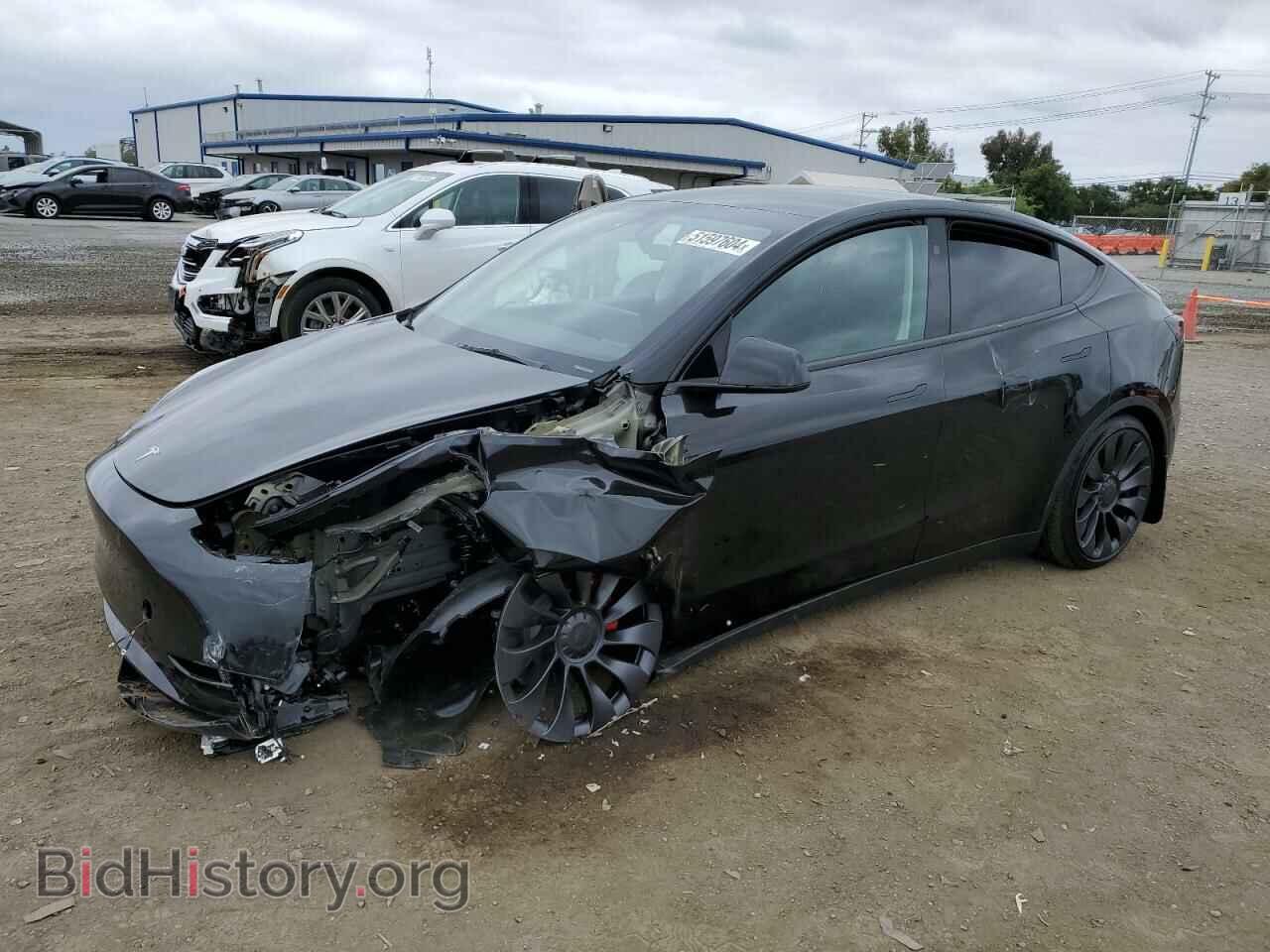 Фотография 7SAYGDEF2RF059362 - TESLA MODEL Y 2024