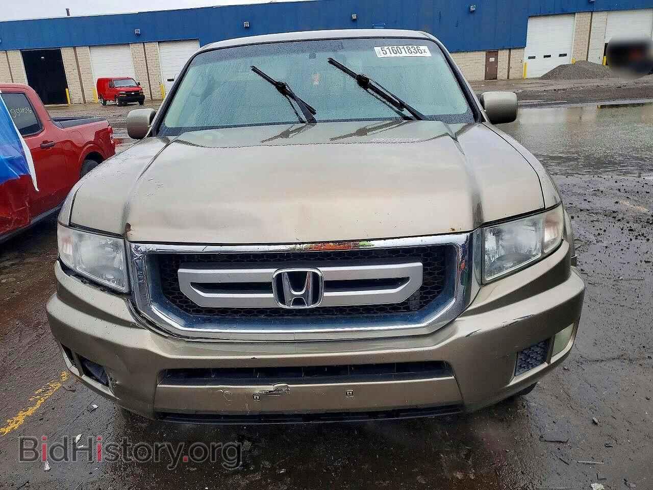 2010 HONDA RIDGELINE - VIN: 5FPYK1F43AB010318 - Фото 5