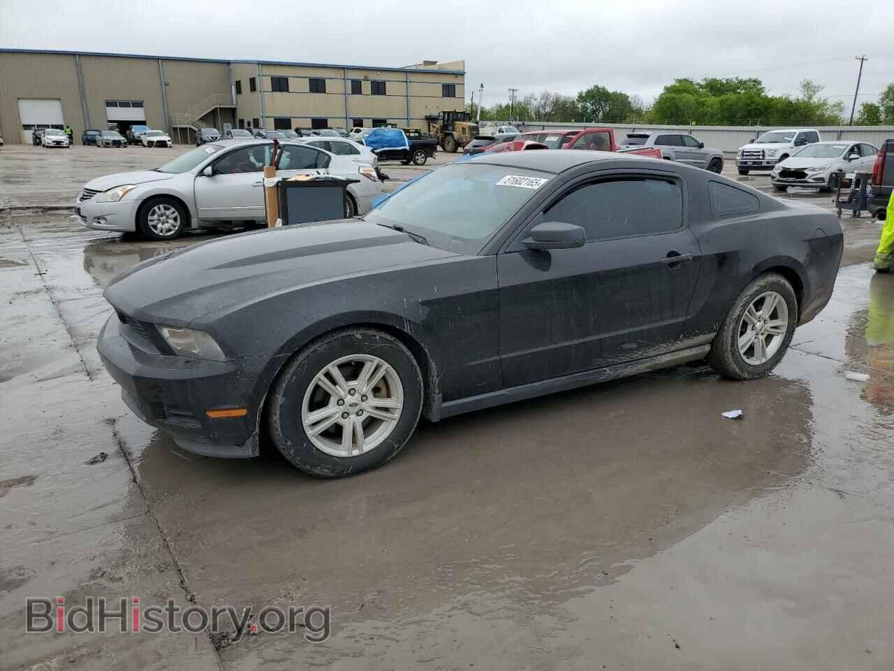Photo 1ZVBP8AMXC5266604 - FORD ALL Models 2012
