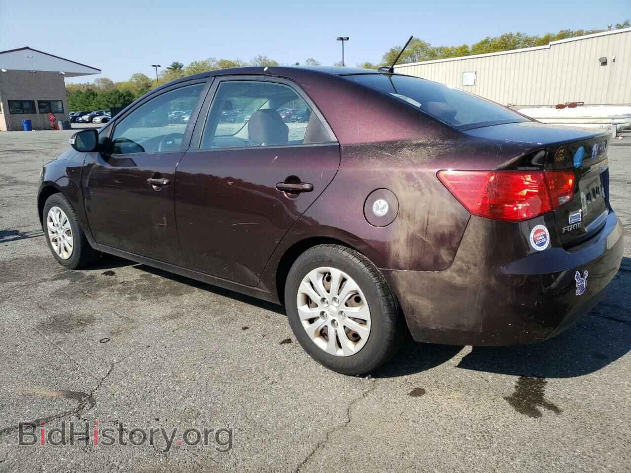 2010 KIA FORTE - VIN: KNAFU4A29A5223449 - Фото 2