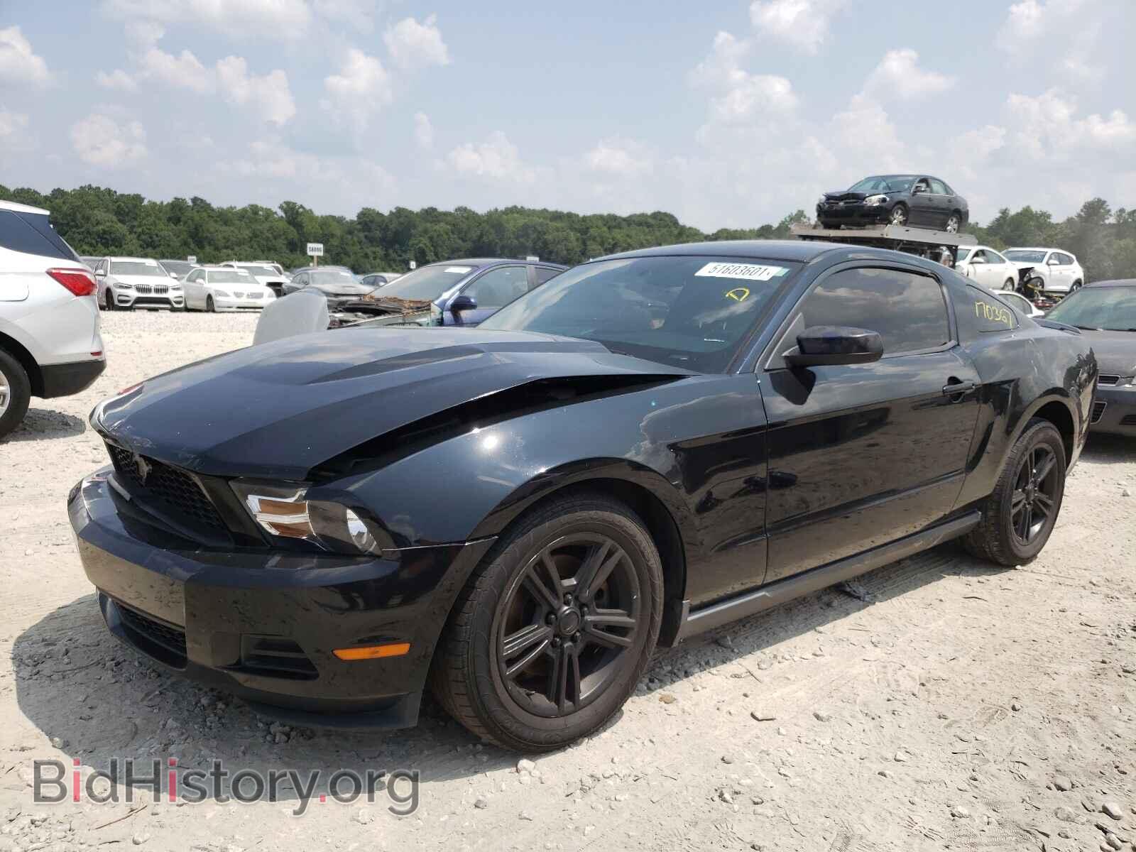 2011 FORD MUSTANG - VIN: 1ZVBP8AM5B5114857 - Фото 2