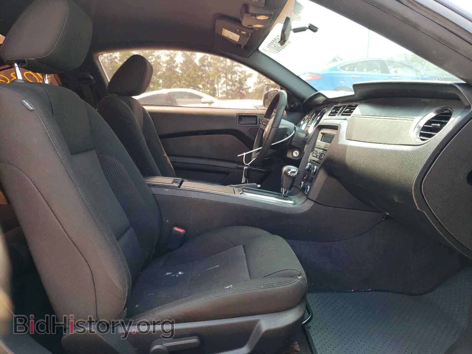 2011 FORD MUSTANG - VIN: 1ZVBP8AM5B5114857 - Фото 5