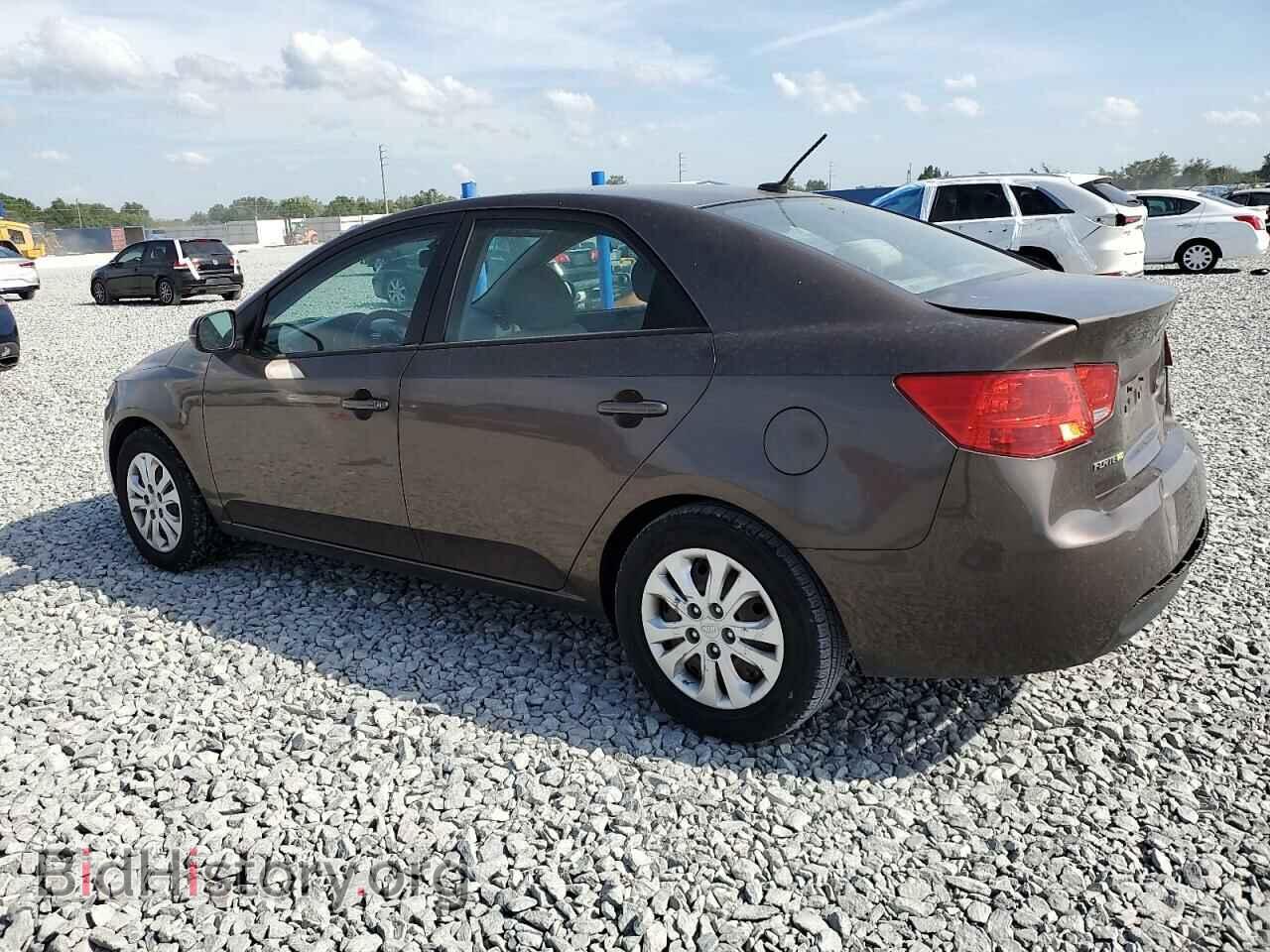 2013 KIA FORTE - VIN: KNAFU4A21D5719009 - Фото 2