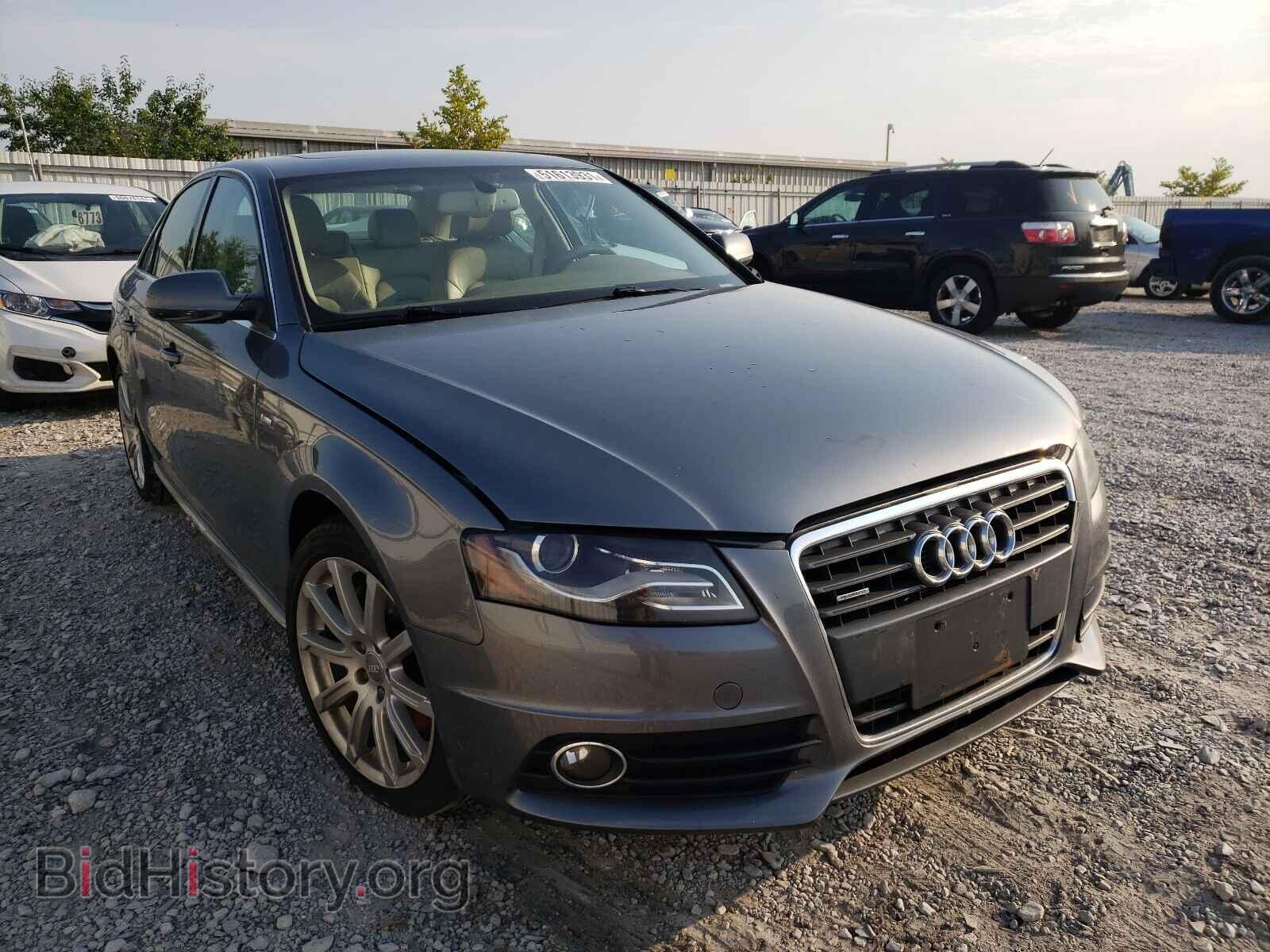 Фотография WAUFFAFL9CN017335 - AUDI A4 2012