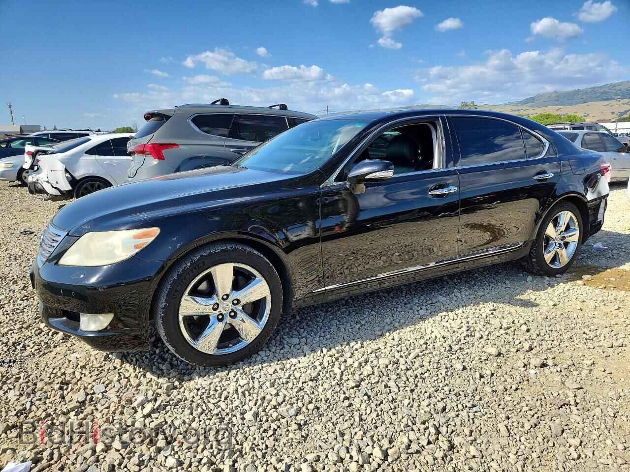 Фотография JTHGL5EFXA5036961 - LEXUS LS460 2010