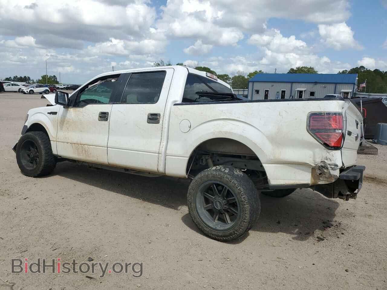 2013 FORD F-150 - VIN: 1FTFW1CF1DFE01056 - Фото 2