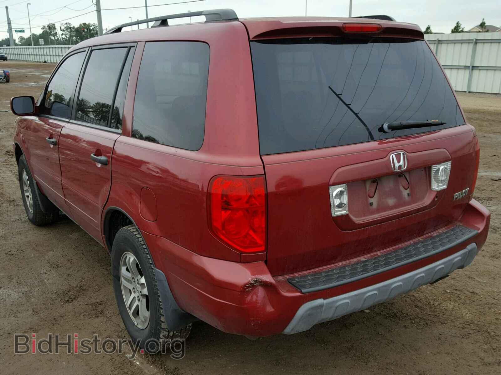 2005 HONDA PILOT - VIN: 5FNYF18445B010585 - Фото 3