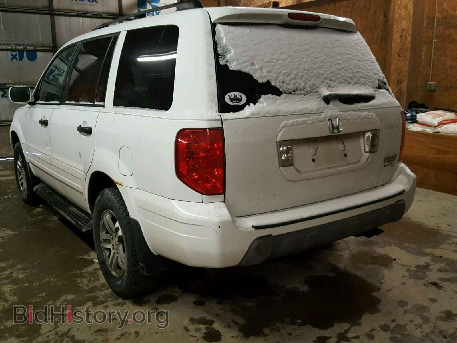 2005 HONDA PILOT - VIN: 5FNYF18565B007194 - Фото 3