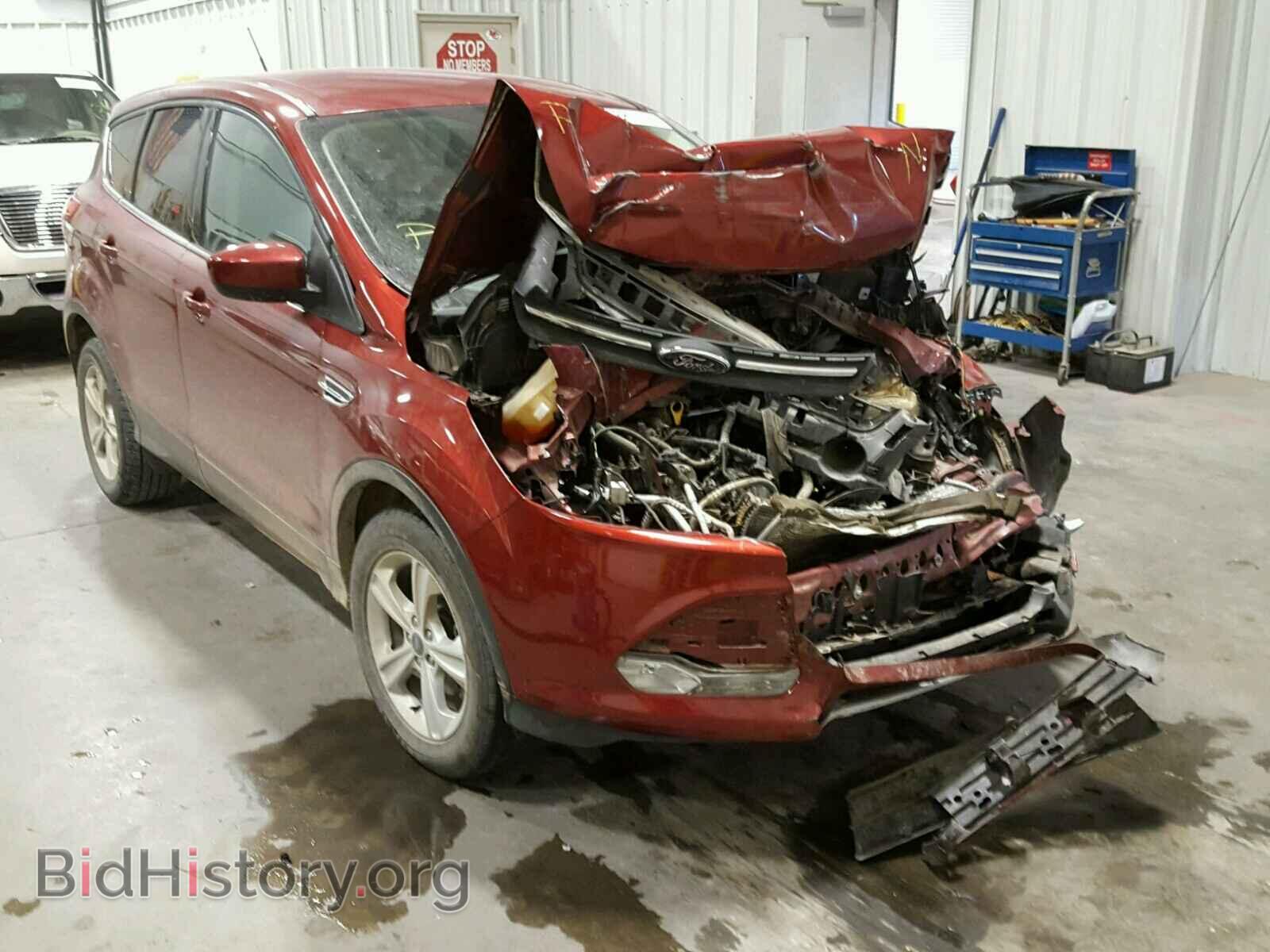 Фотография 1FMCU0GX4EUB30251 - FORD ESCAPE 2014