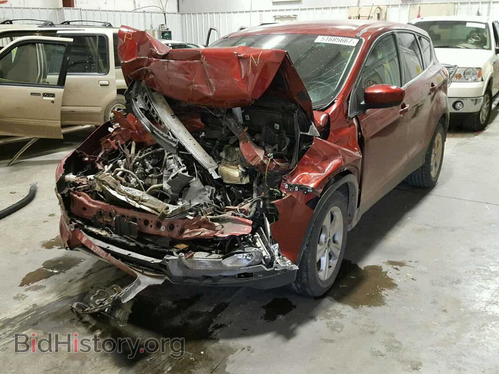 2014 FORD ESCAPE - VIN: 1FMCU0GX4EUB30251 - Фото 2