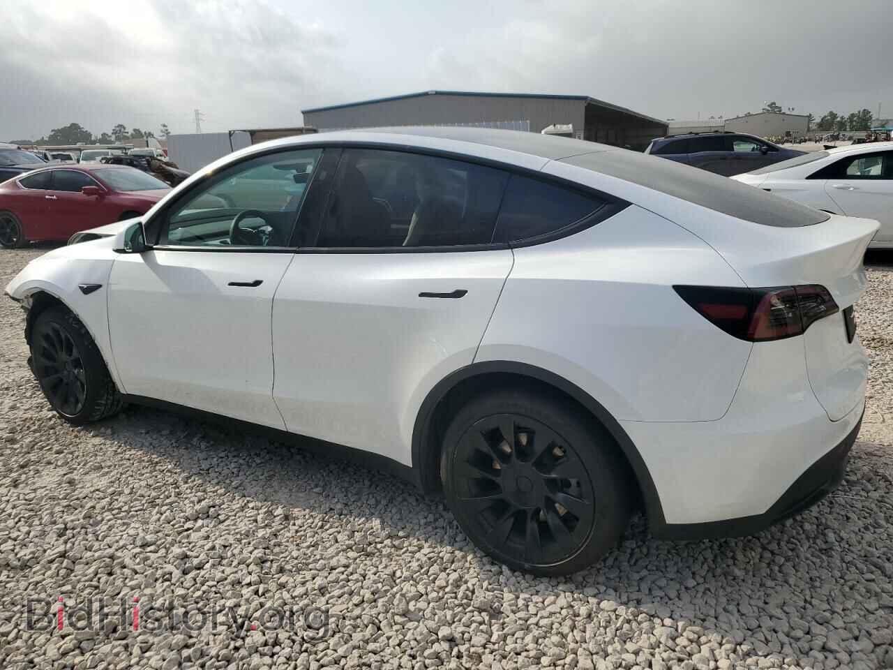 2024 TESLA MODEL Y - VIN: 7SAYGDED1RA306169 - Photo 2