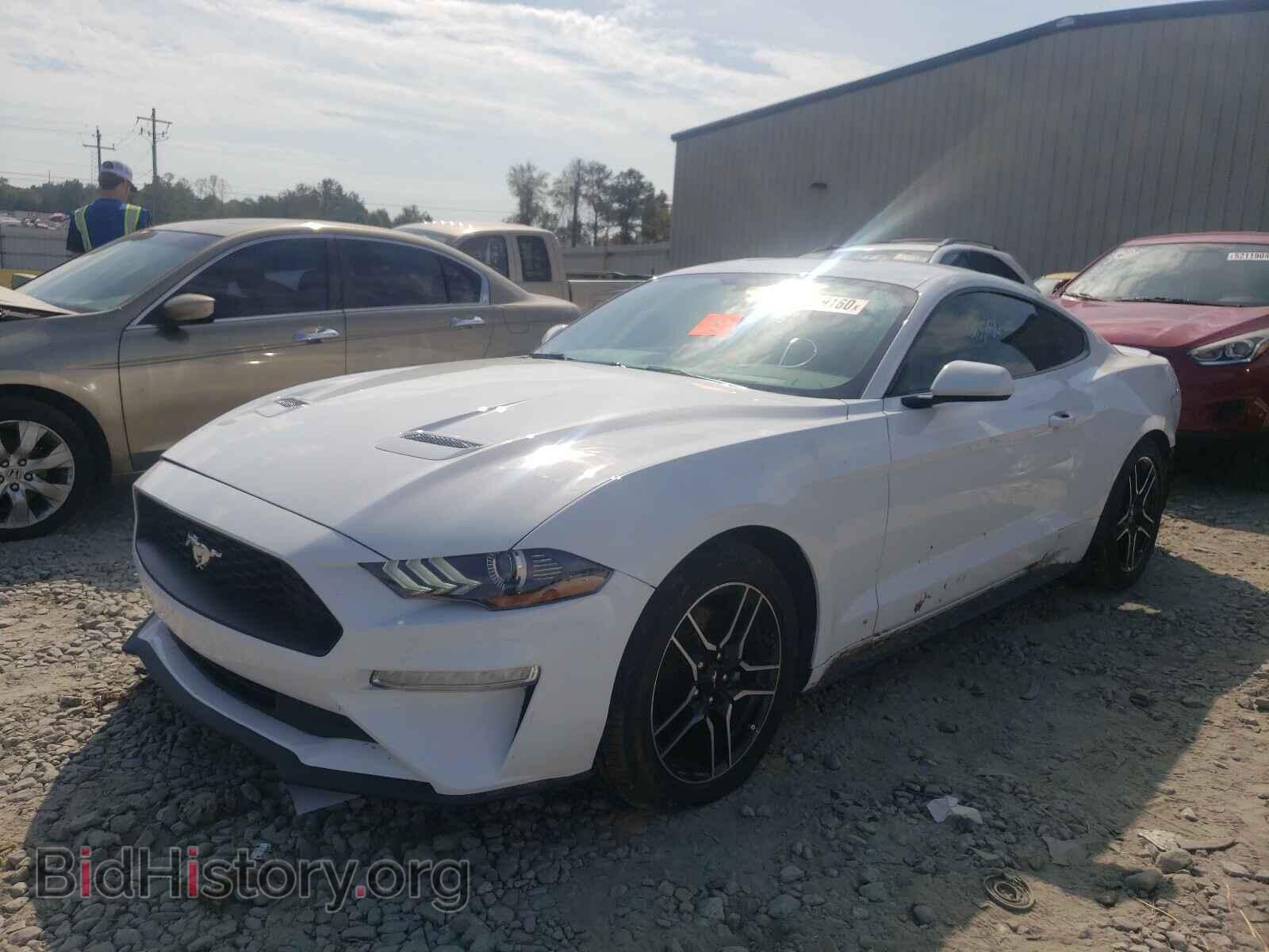 2019 FORD MUSTANG - VIN: 1FA6P8TH1K5166464 - Фото 2