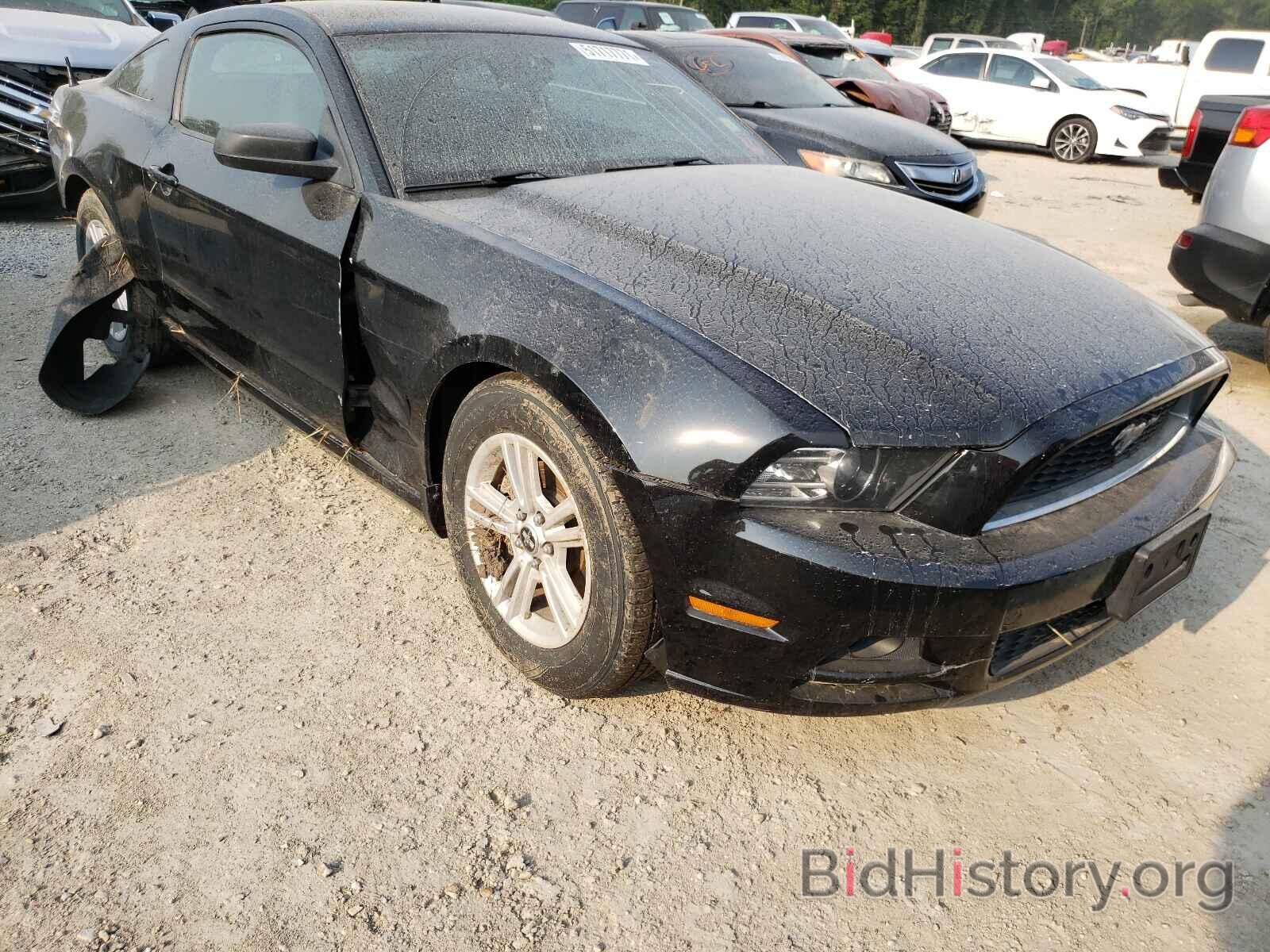 Photo 1ZVBP8AM1E5284069 - FORD MUSTANG 2014
