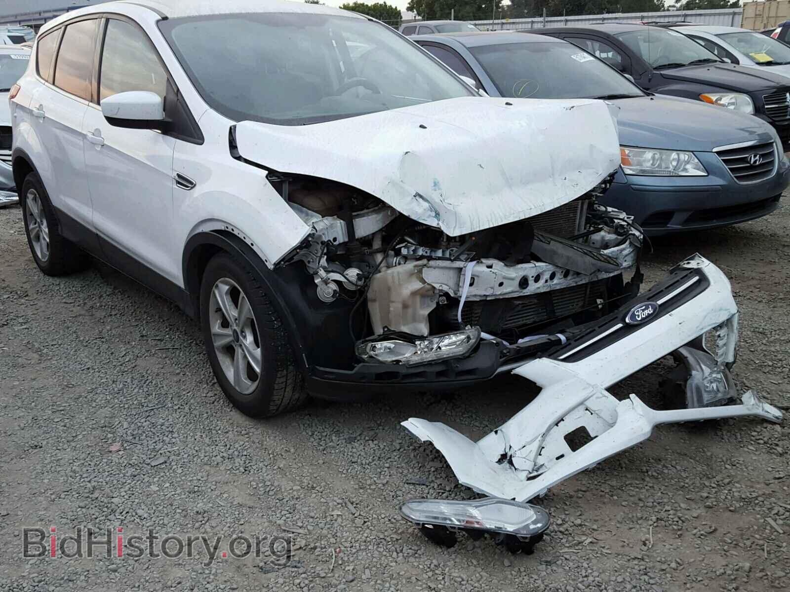 Фотография 1FMCU0GX8DUC36264 - FORD ESCAPE 2013
