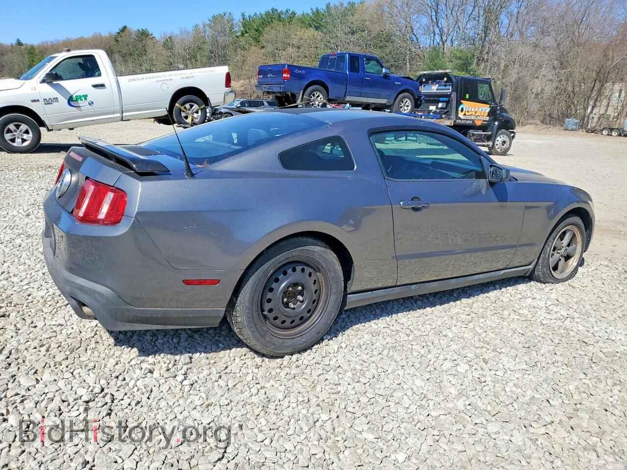 2011 FORD MUSTANG - VIN: 1ZVBP8AM4B5153018 - Фото 3