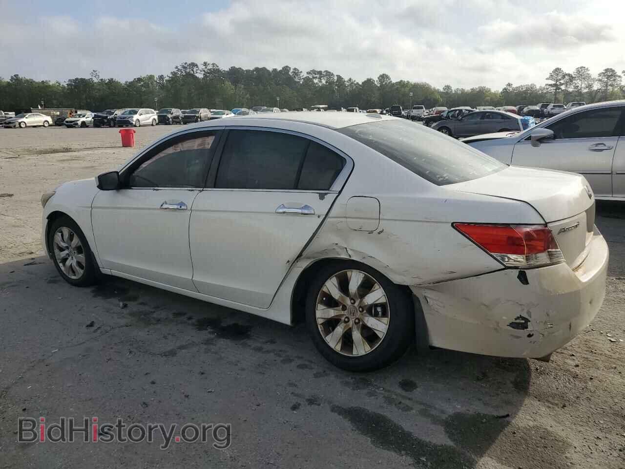 2010 HONDA ACCORD - VIN: 5KBCP3F88AB018497 - Фото 2