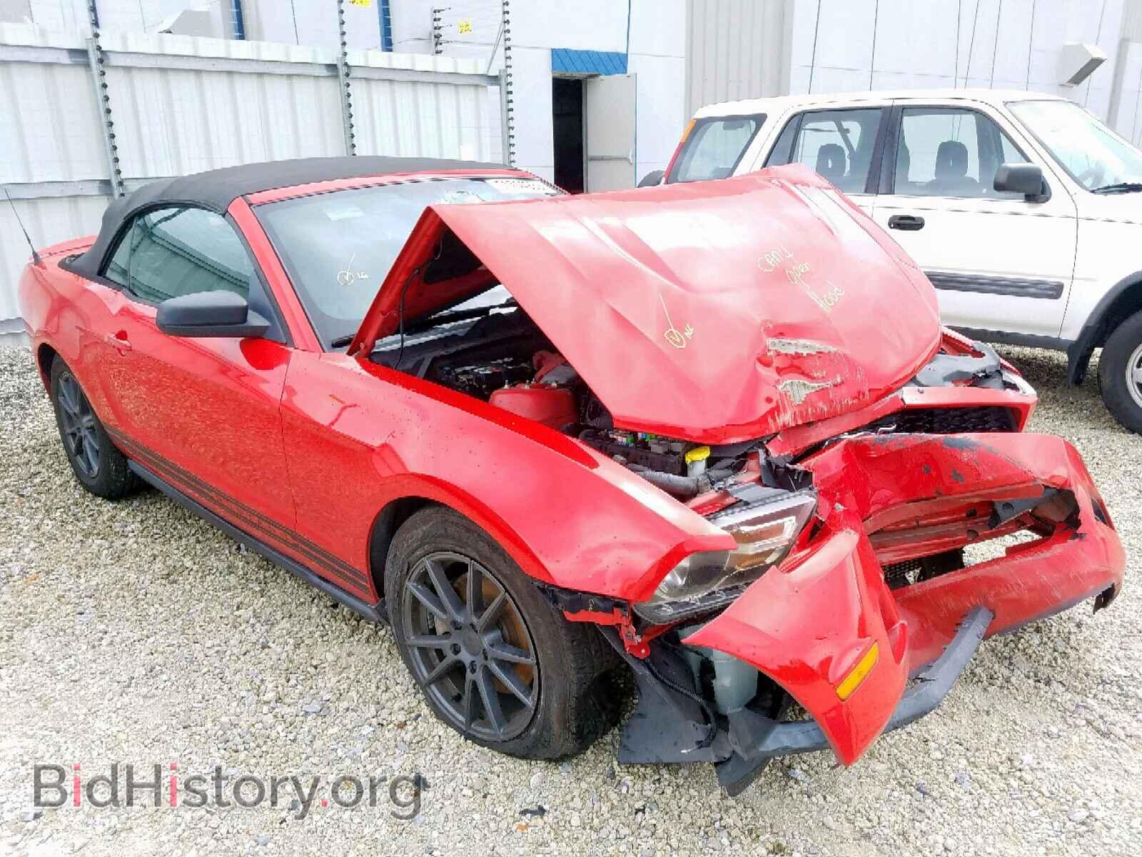 Фотография 1ZVBP8EM4C5205579 - FORD MUSTANG 2012