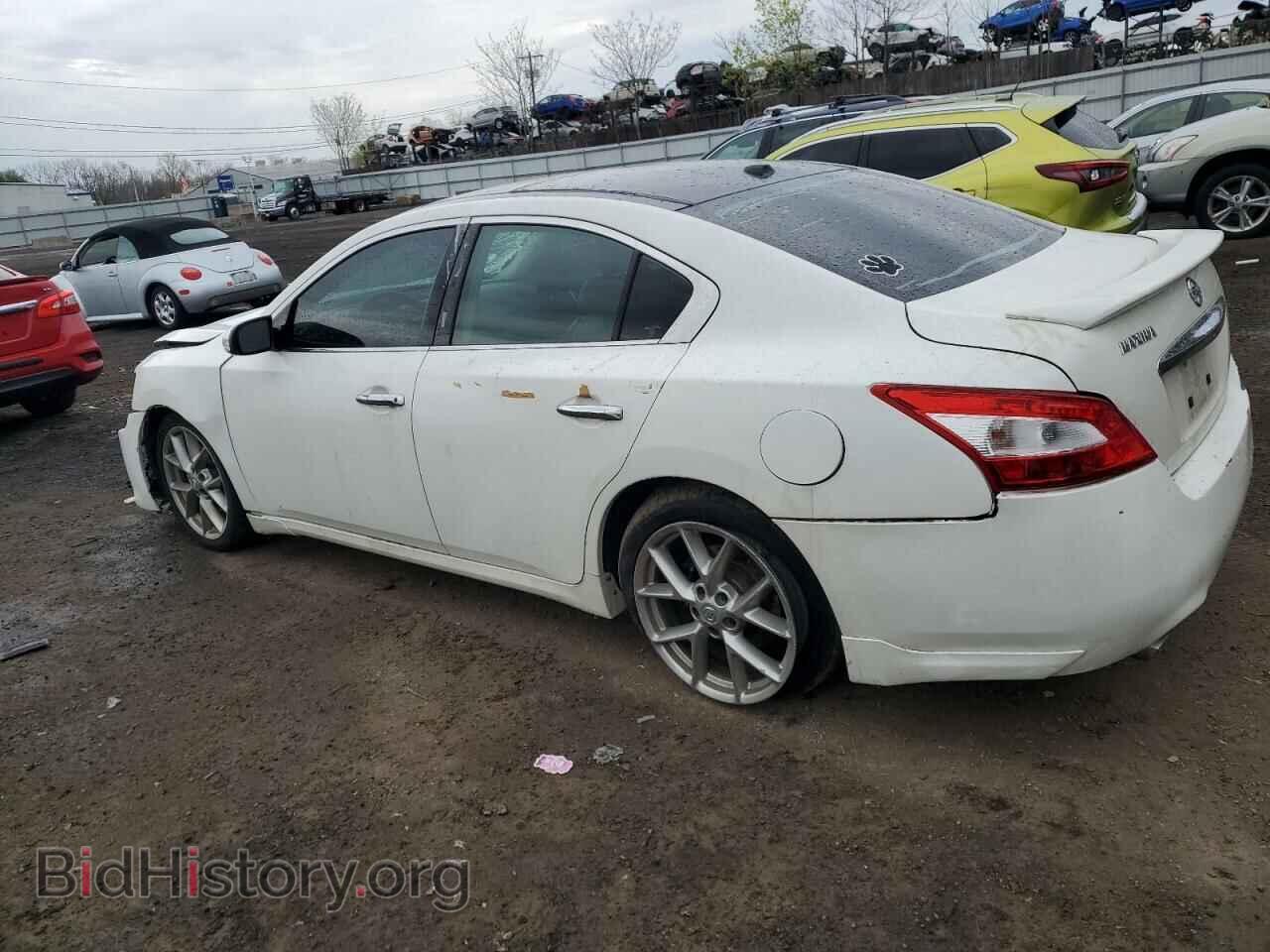 2010 NISSAN MAXIMA - VIN: 1N4AA5AP7AC873552 - Фото 2
