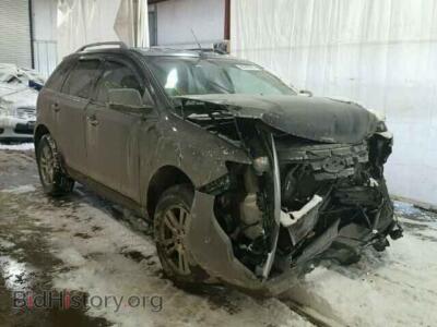 2007 Ford EDGE Edge SEL, gray — VIN 2FMDK48C47BA31029, Copart
