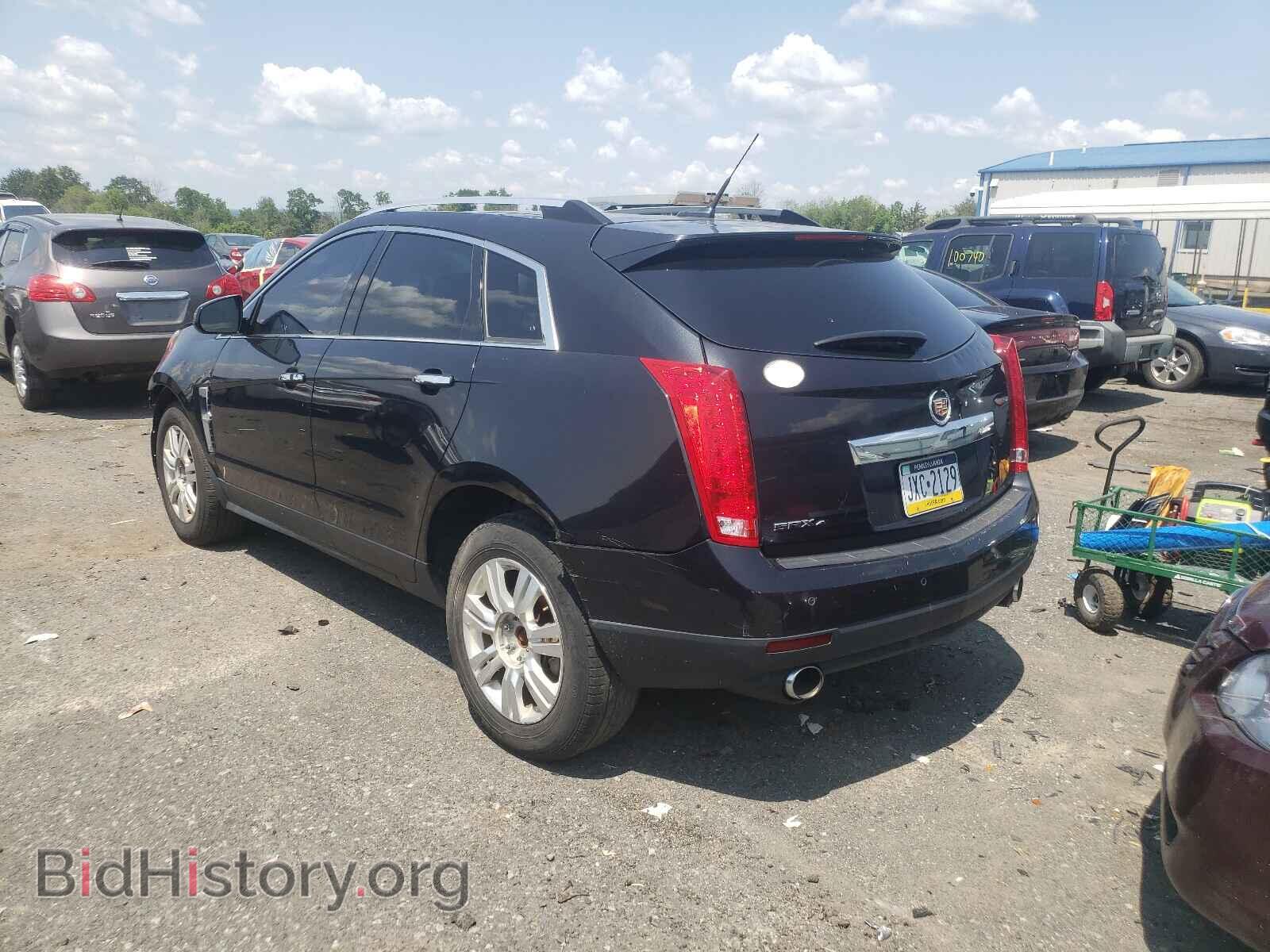 2011 CADILLAC SRX - VIN: 3GYFNDEY3BS676305 - Фото 3