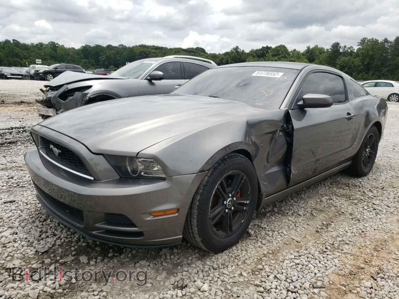 2013 FORD MUSTANG - VIN: 1ZVBP8AMXD5210986 - Фото 2