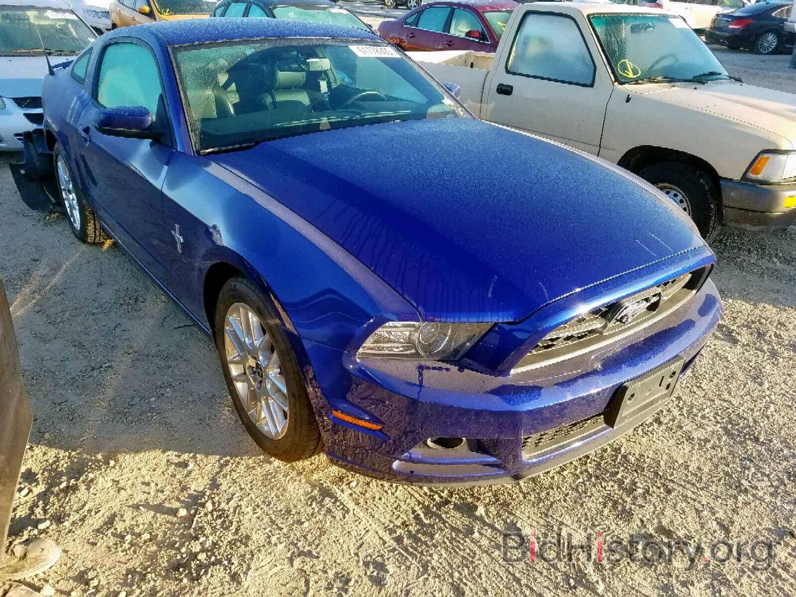 Photo 1ZVBP8AM3D5218931 - FORD MUSTANG 2013