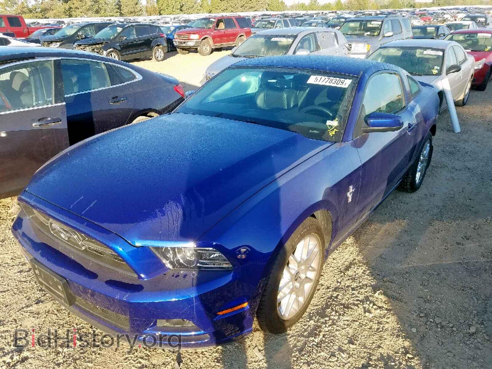 2013 FORD MUSTANG - VIN: 1ZVBP8AM3D5218931 - Фото 2