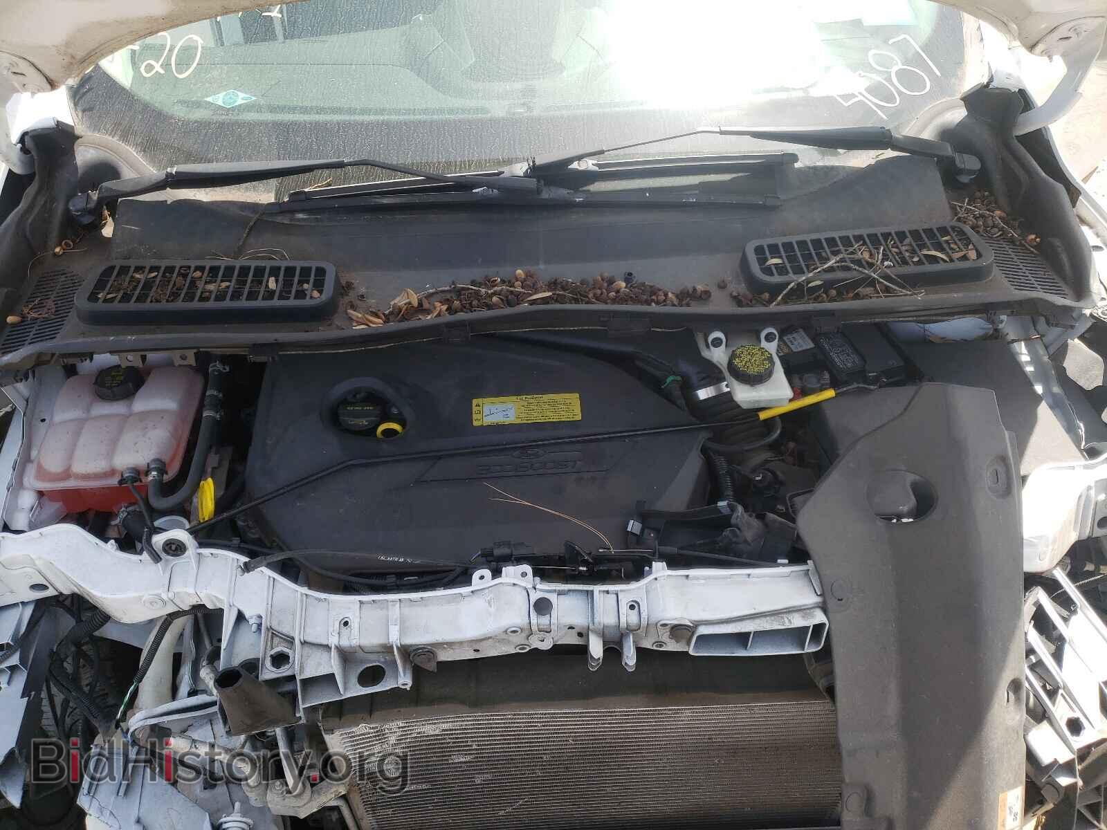 2014 FORD ESCAPE - VIN: 1FMCU0GX3EUB14087 - Фото 7