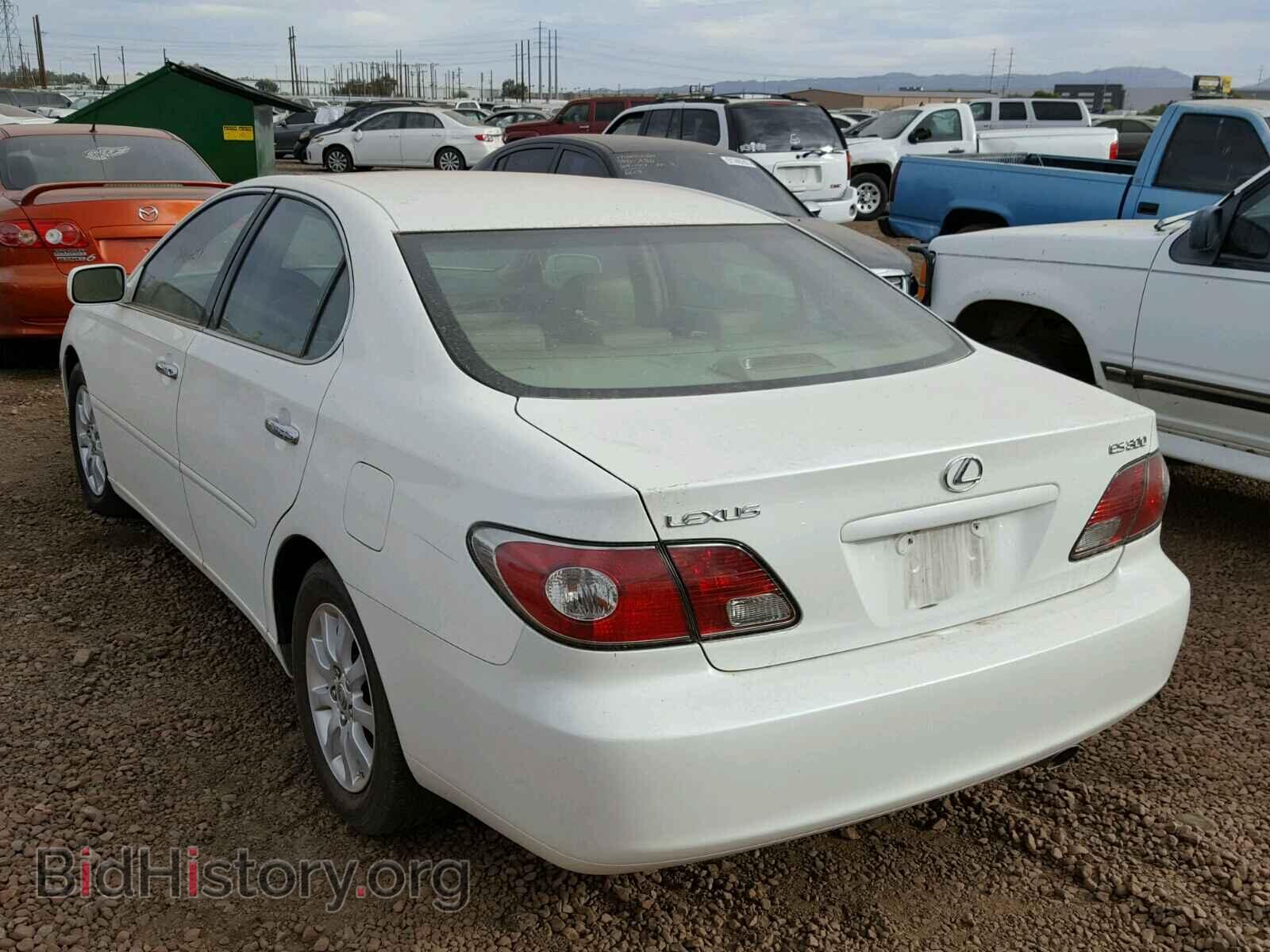 2002 LEXUS ES300 - VIN: JTHBF30G825034147 - Фото 3