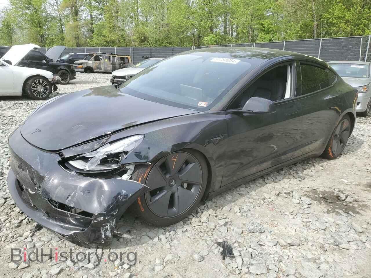 Photo 5YJ3E1EA4PF419616 - TESLA MODEL 3 2023