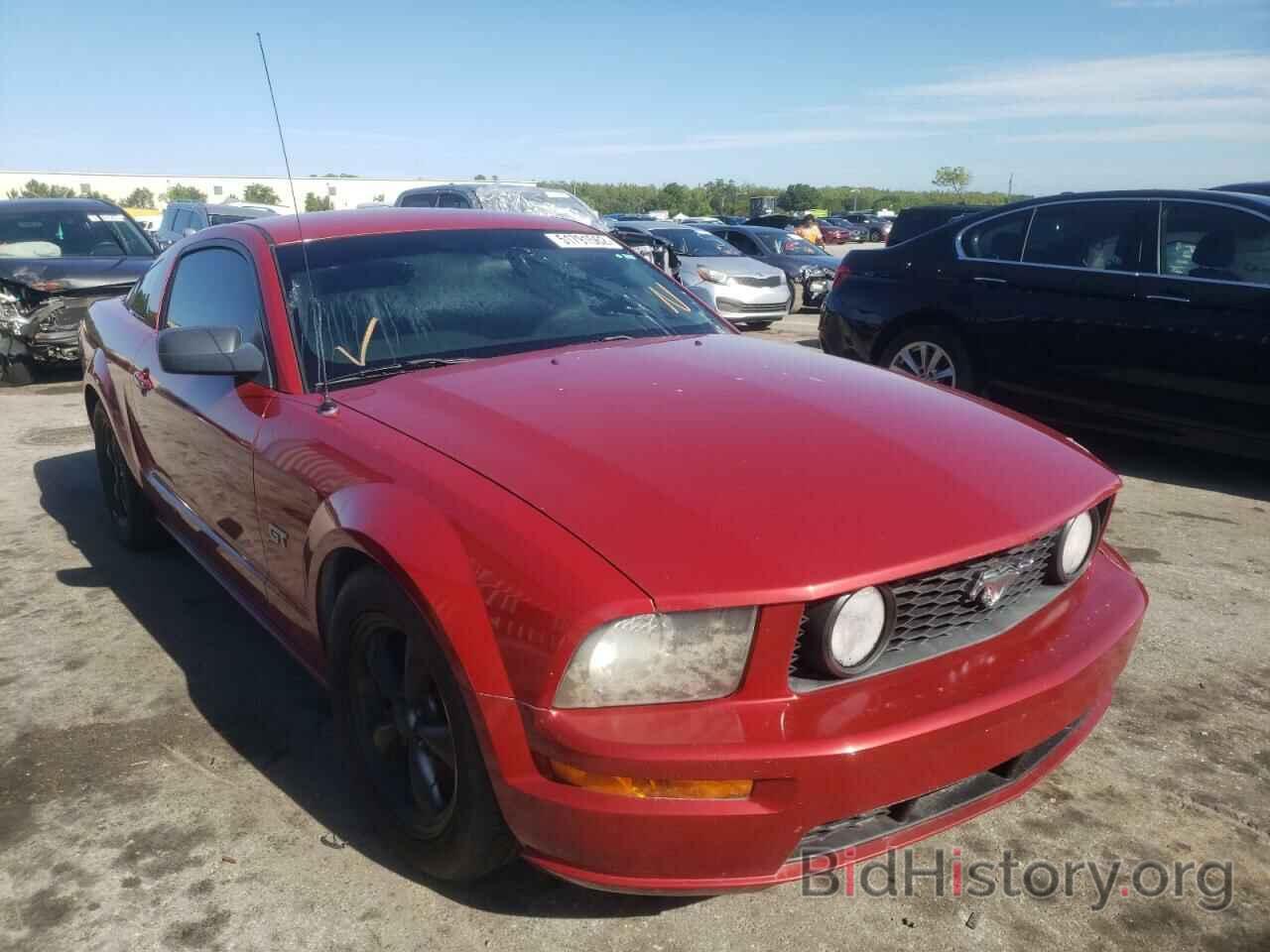 Photo 1ZVHT82H485198976 - FORD MUSTANG 2008
