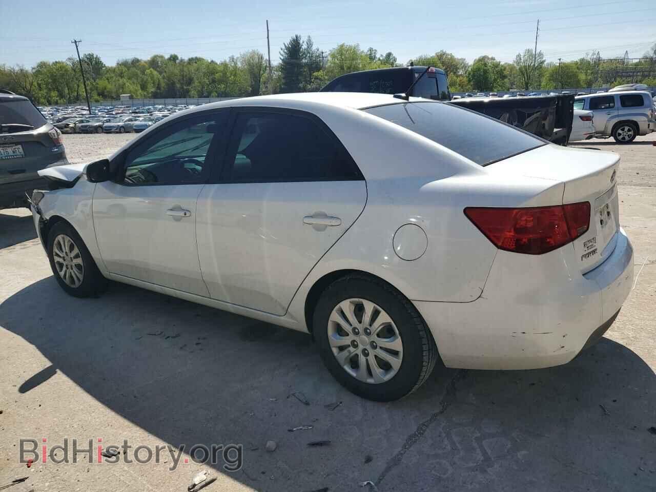2011 KIA FORTE - VIN: KNAFU4A29B5402981 - Фото 2