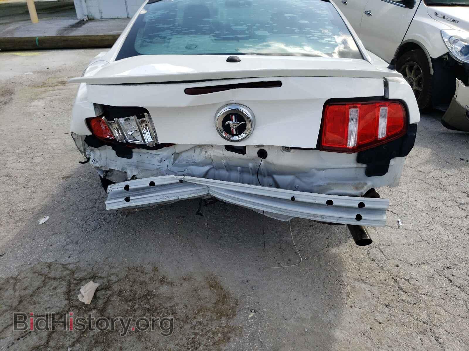2010 FORD MUSTANG - VIN: 1ZVBP8AN2A5173582 - Фото 9