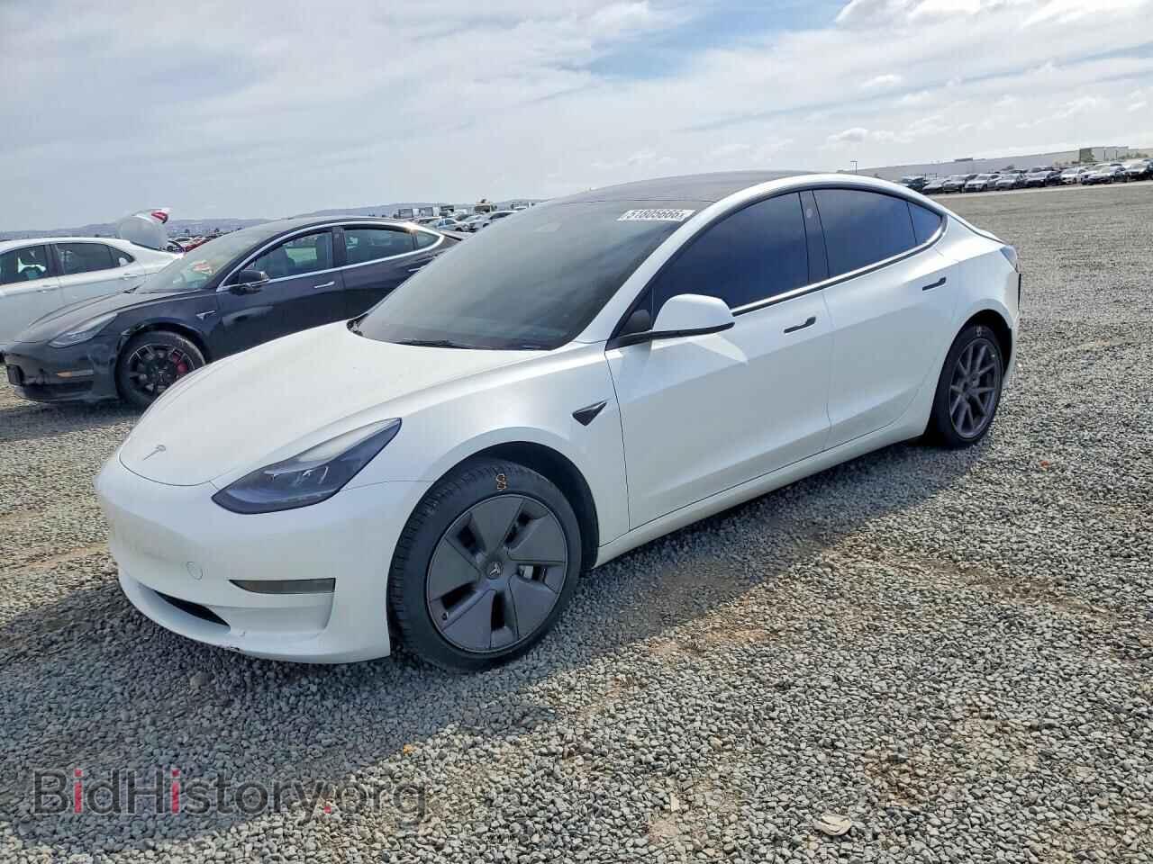 Photo 5YJ3E1EA7PF466459 - TESLA MODEL 3 2023