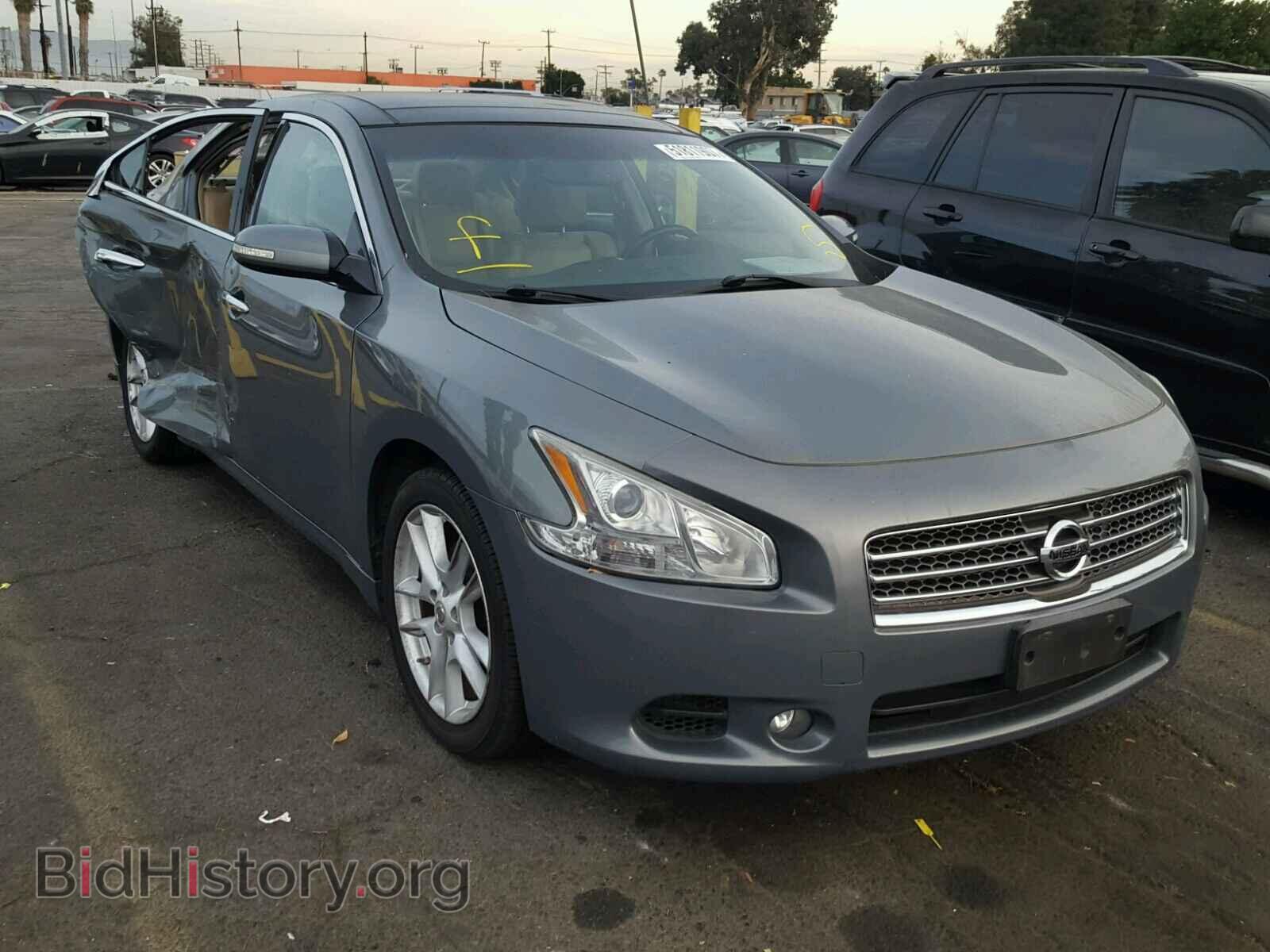 Photo 1N4AA5AP2BC848768 - NISSAN MAXIMA S 2011