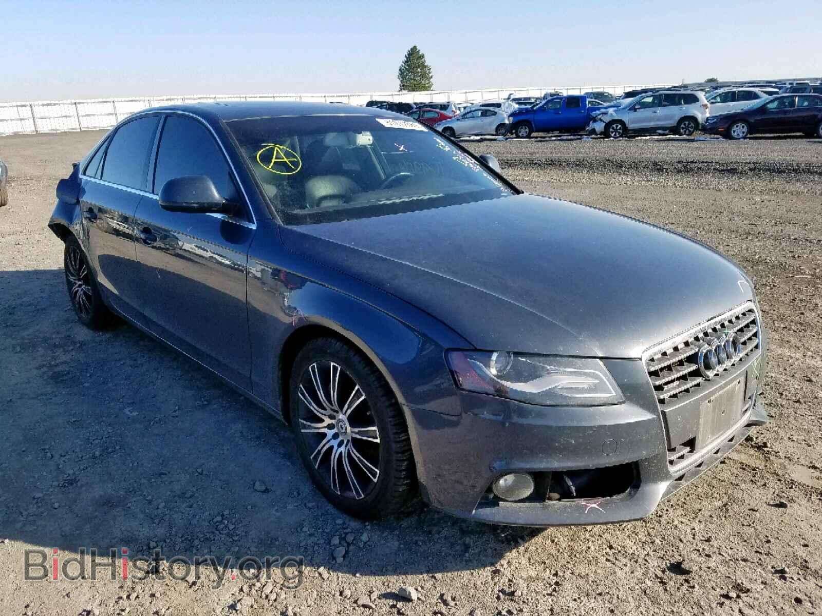Фотография WAUSF78K49N034963 - AUDI A4 2009