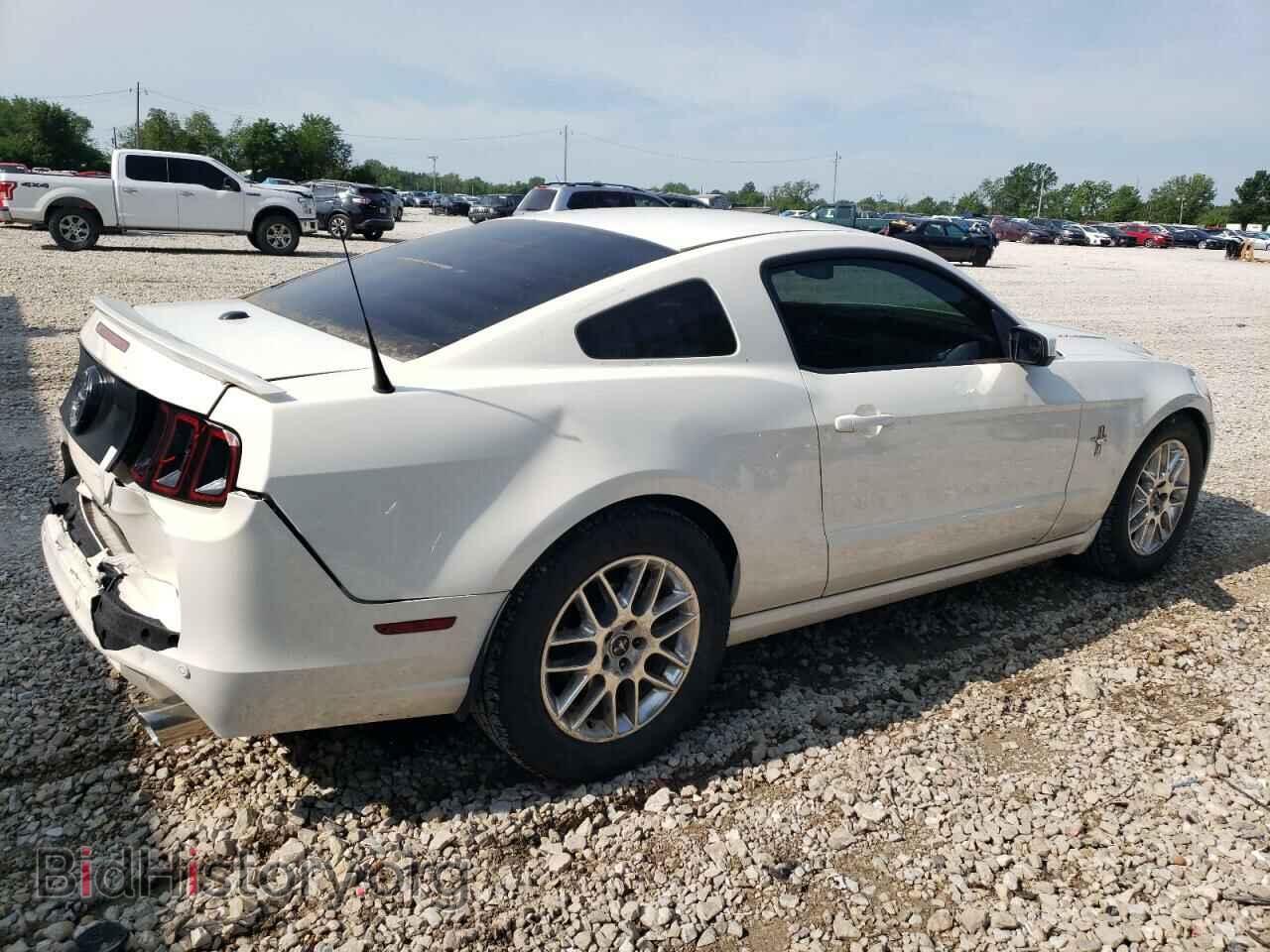 2013 FORD ALL Models - VIN: 1ZVBP8AM7D5261829 - Фото 3