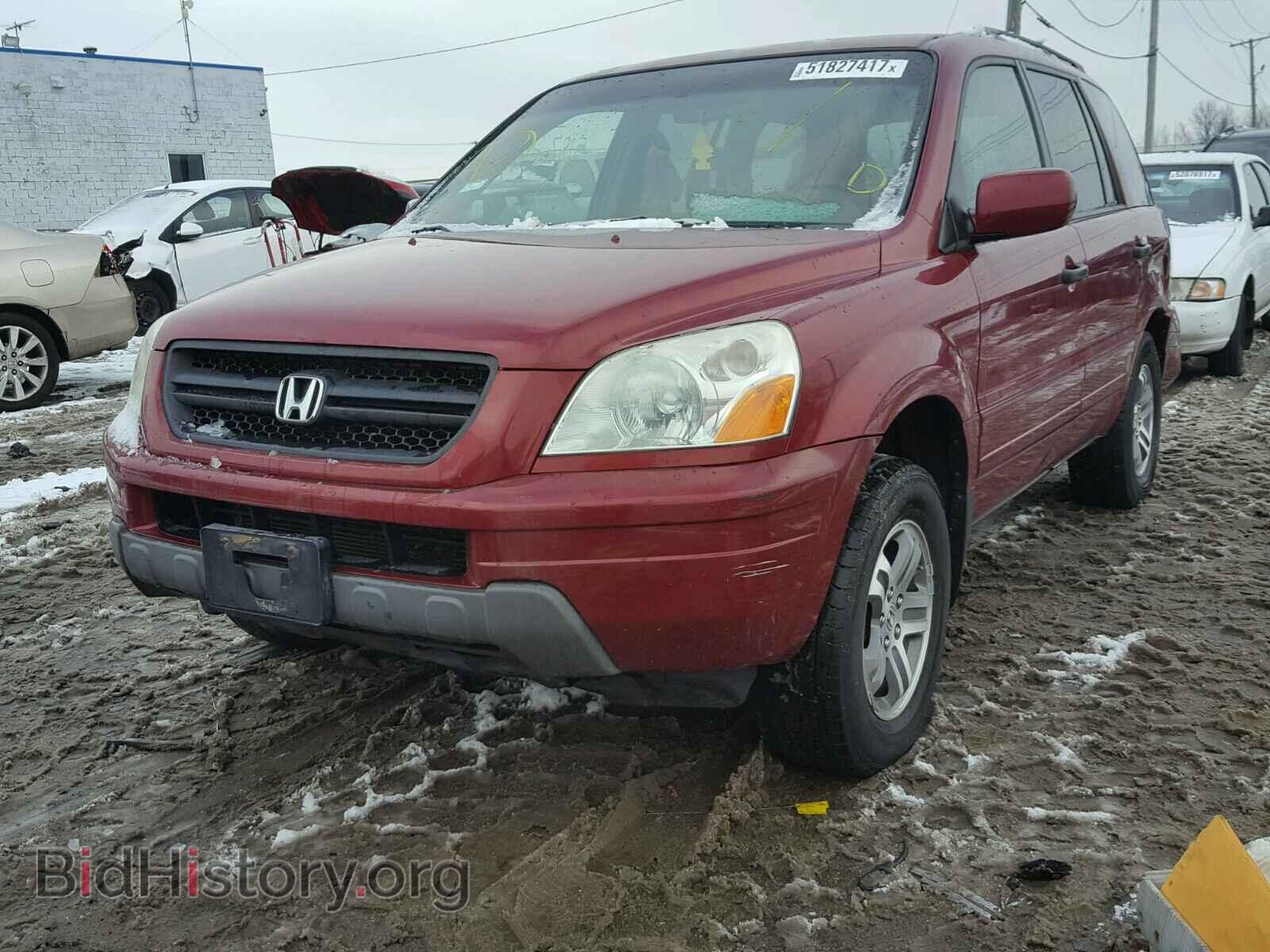 2005 HONDA PILOT - VIN: 5FNYF18455B058421 - Photo 2