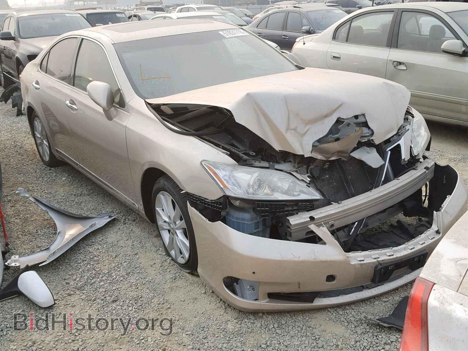 Photo JTHBK1EG4A2357992 - LEXUS ES350 2010