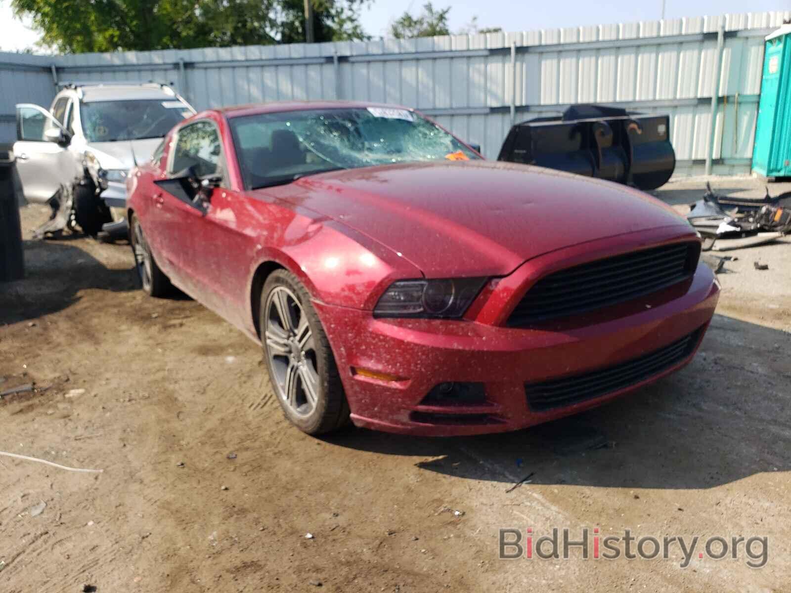 Photo 1ZVBP8AM3E5224049 - FORD MUSTANG 2014